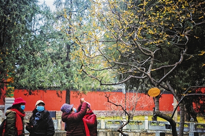 立春后首场雪 延庆白草洼达暴雪量级