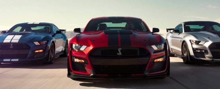 {賭馬}(谢尔比野马gt500国内售价)