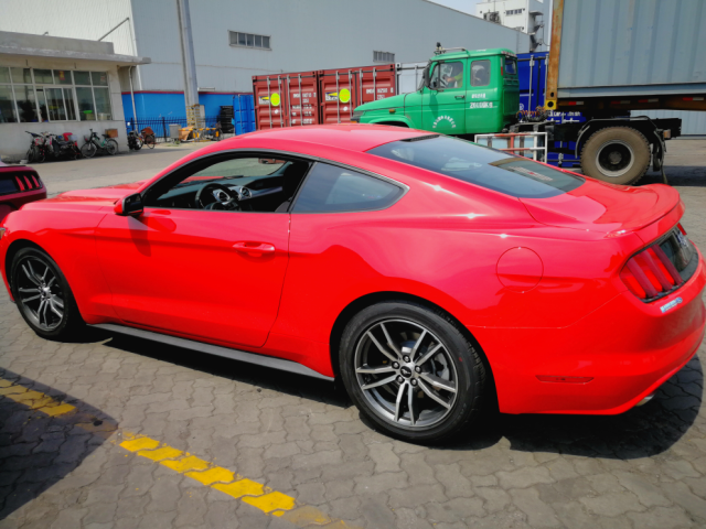 {賭馬}(福特野马开着舒服吗知乎)