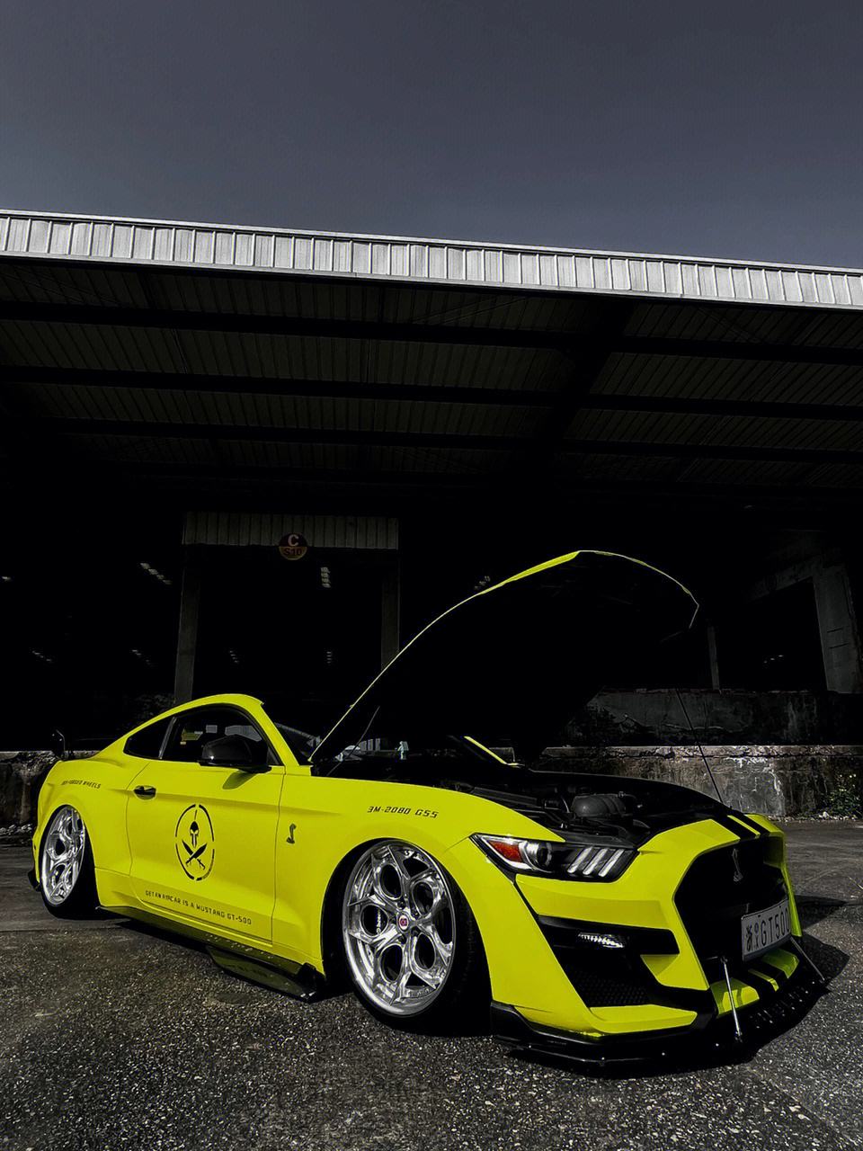 {捕魚機}(野马电动suv)